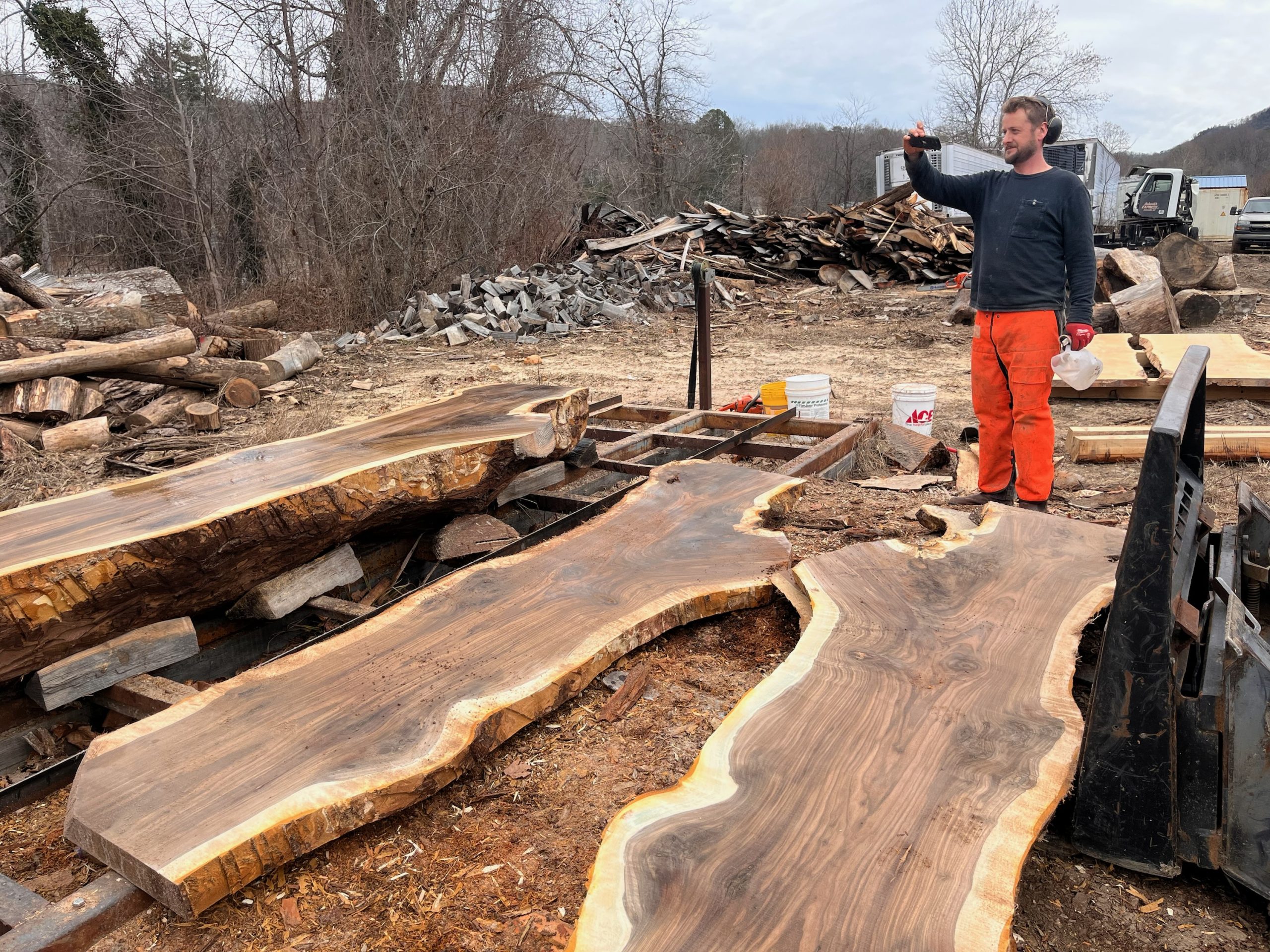 Catalpa Wood Slab, Live Edge Slab, Figured Catalpa Wood Slabs, DIY